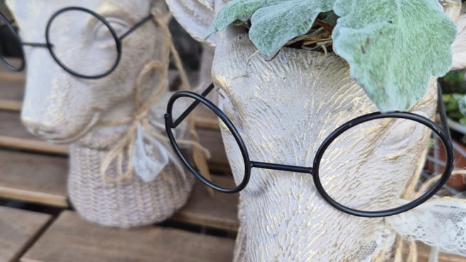 Bild fräulein blume - Blumen und Geschenke