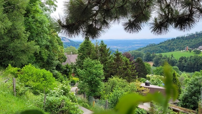 Restaurant Pintli image