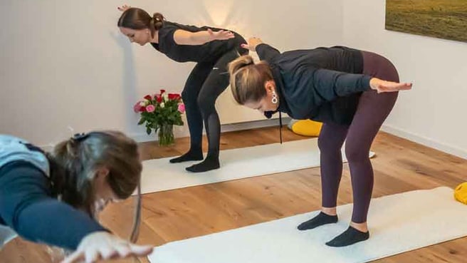 Karin Amrein Yoga Weg in die Freiheit image