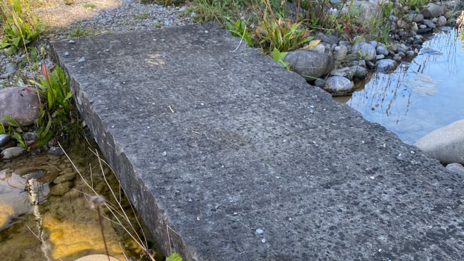 Immagine Garten Urs Aeberli GmbH