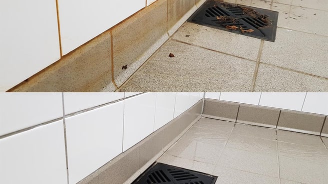 Flex Transport GmbH image