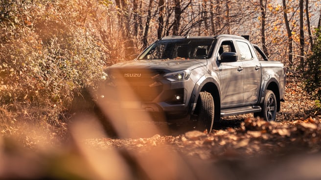 Immagine Devittori all cars plus SA