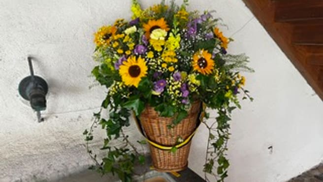 Bild BLUEME ZAUBER