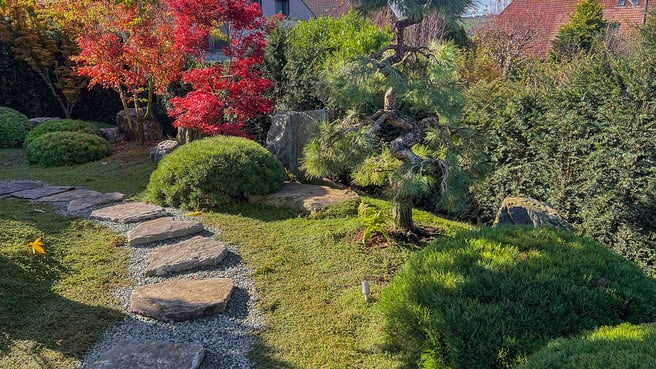 Immagine Terza Natura GmbH