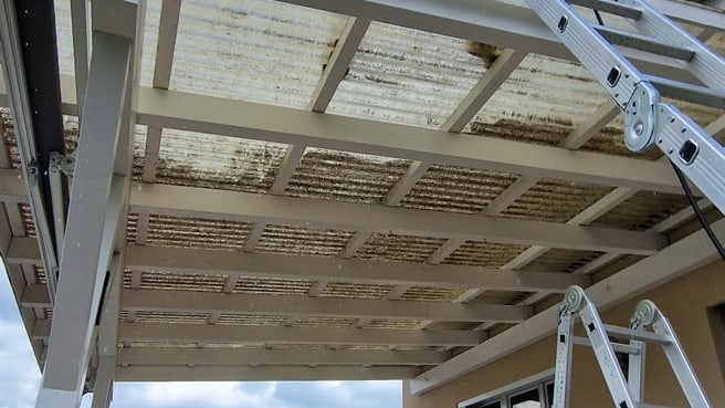 Immagine Molim Service