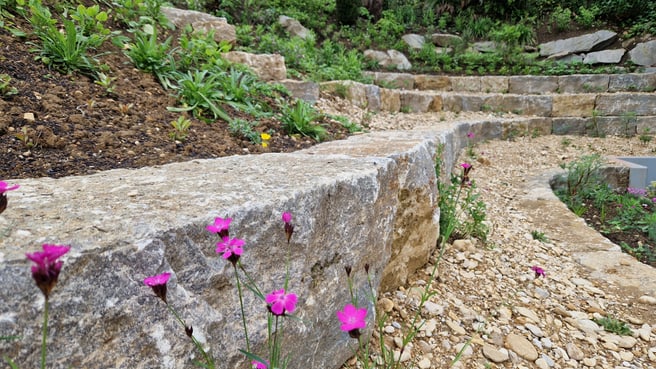 Immagine Bösiger Gartenbau AG