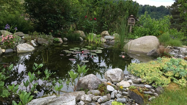 Immagine M. Murer Gartenbau GmbH