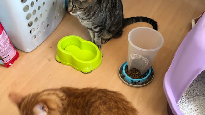 Bild Guinchard Jean-Paul