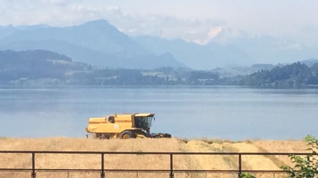 Bild Jürg Attinger & Partner AG