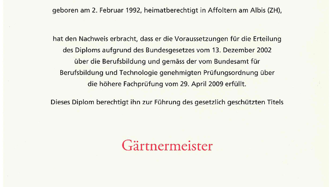 Bild Schneebeli | Blumen | Gartenbau