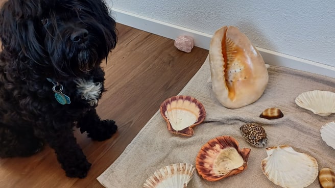 Bild Praxis Lichtweg