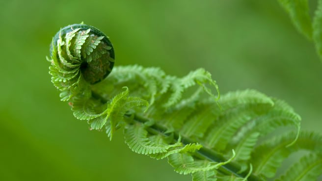 relax.care - Beratung für Stress- und Selbstmanagement, med. Autogenes Training nach Dr. Schultz, med. Progressive Muskelentspannung nach Dr. Jacobson, med. Achtsamkeitsinterozeption 'Achtsamkeitsmeditation, QiGong in Stille'' image