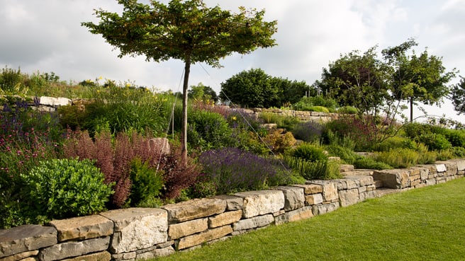 Image Mille et un Jardins