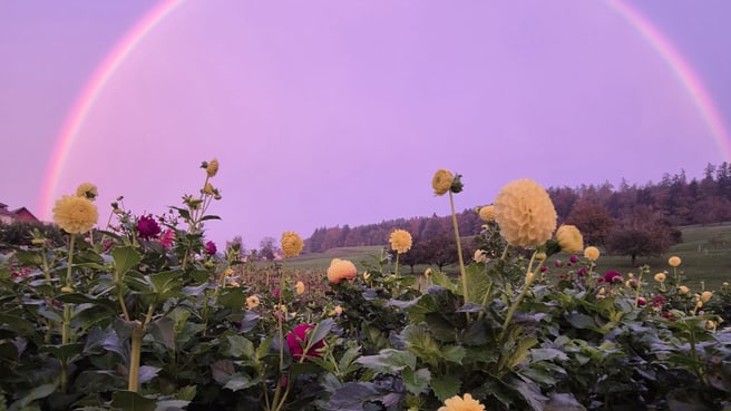 Akupunktur Massagen TCM Phytotherapie image