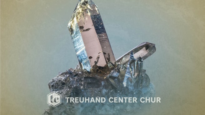 Image Treuhand Center AG