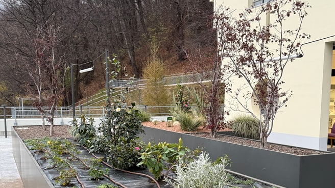 Image dolcemara sagl