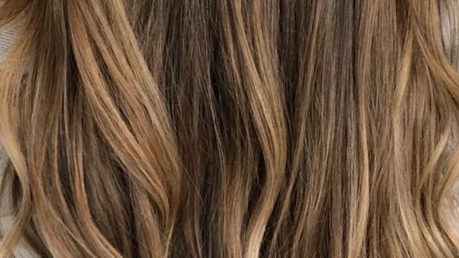 Bild MUSE HairStyles Institute