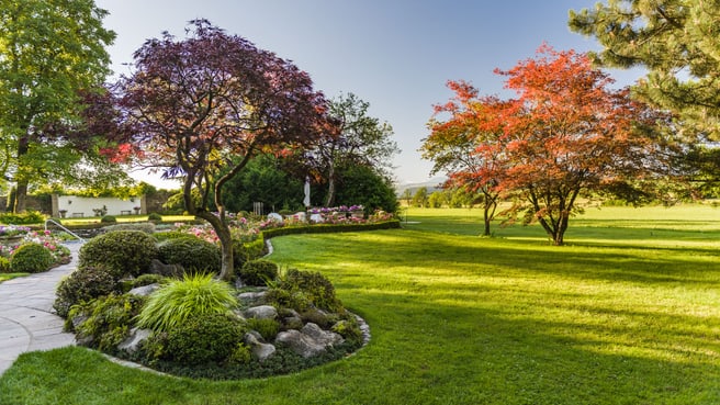 Immagine Terza Natura GmbH