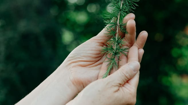 Bild Loë Wellness
