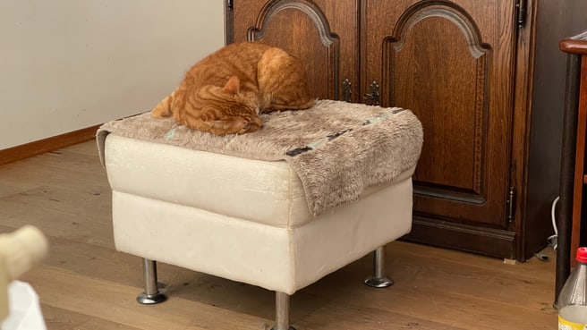 Bild Guinchard Jean-Paul