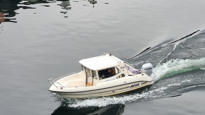 Bild Bootsfahrschule, Wirth