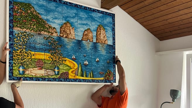 MovSafe Transport image