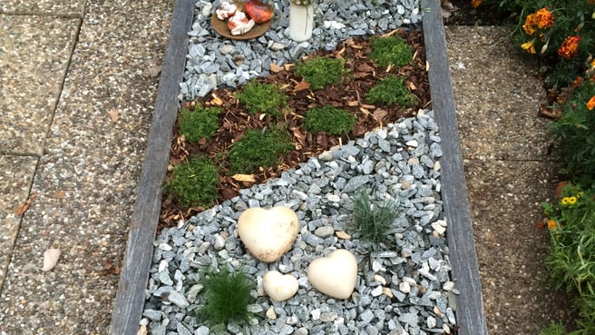 Immagine M. Murer Gartenbau GmbH