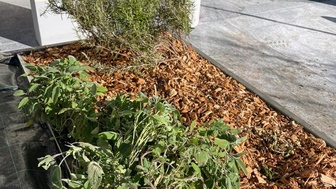 Image dolcemara sagl