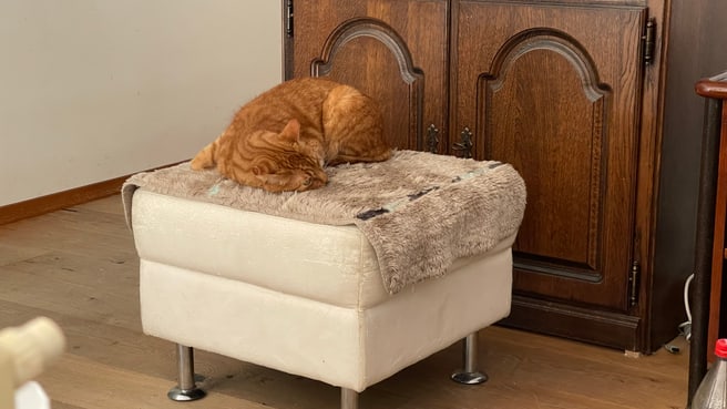 Bild Guinchard Jean-Paul