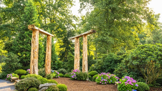 Immagine Terza Natura GmbH