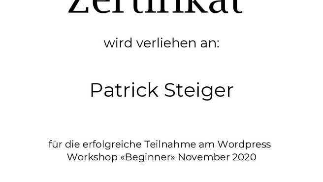 Steiger Patrick Webmaster image