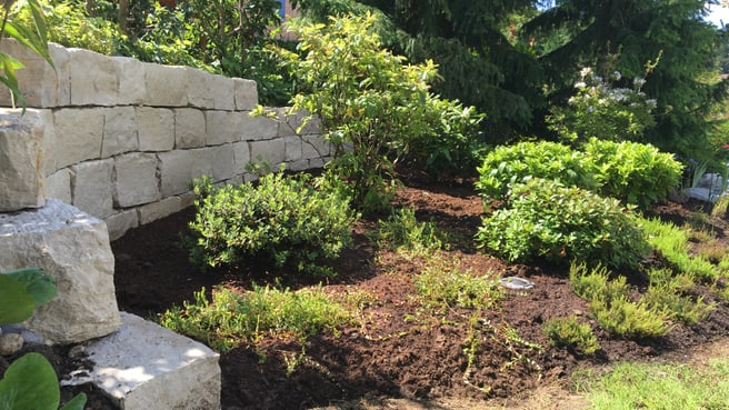 Immagine M. Murer Gartenbau GmbH