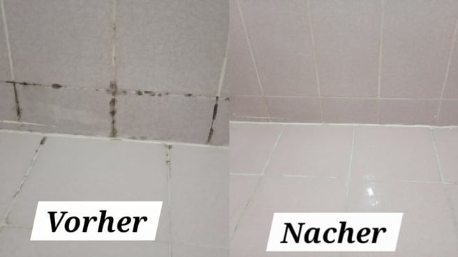 Bild ABBA Hauswartungen GmbH