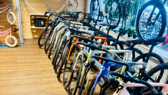 Schnellfuss1871 GmbH image