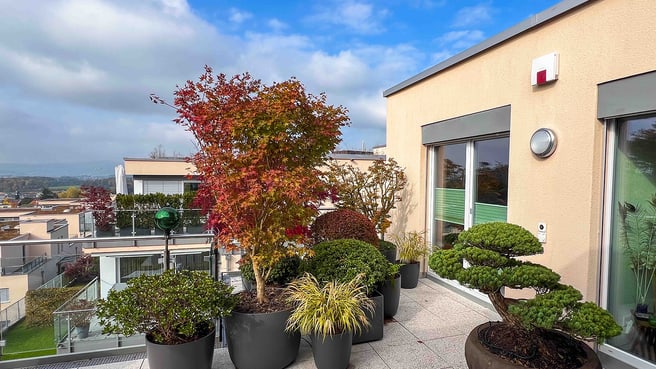 Immagine Terza Natura GmbH