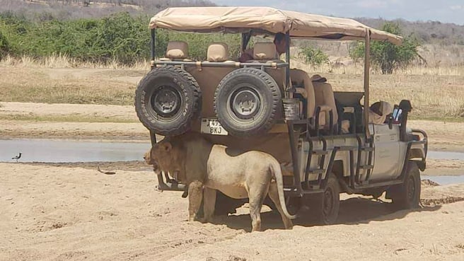 Image Twende Tanzania Safari GmbH