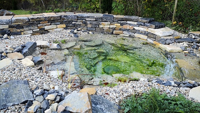 Image Mille et un Jardins