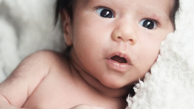 Annika Foelster Photography image