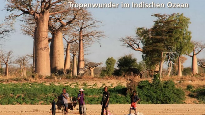 Image Madagaskarhaus: Infos, Flüge und Reisen in Madagaskar