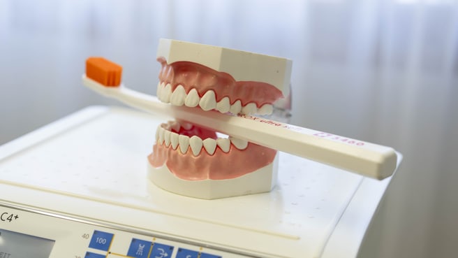 Aleksandar Gajic image