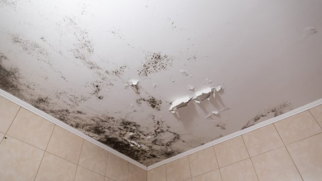 Bild ABBA Hauswartungen GmbH