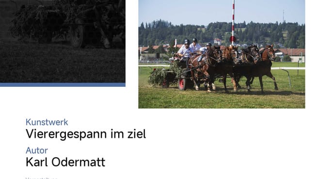 Image Karl Odermatt Fotos