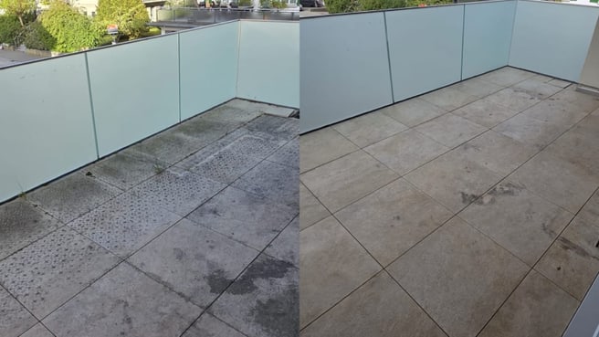 Immagine Molim Service