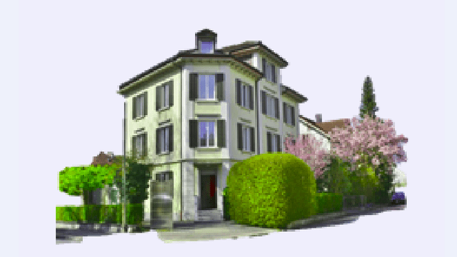 Bild Graf & Partner Immobilien AG Winterthur