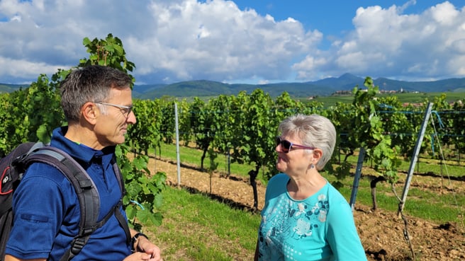 mycoaching2go by QUEERwegS GmbH image