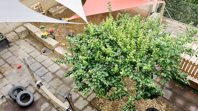 Immagine Kita Selve Areal