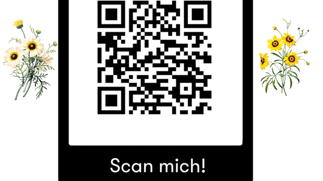 Restaurant Pintli image