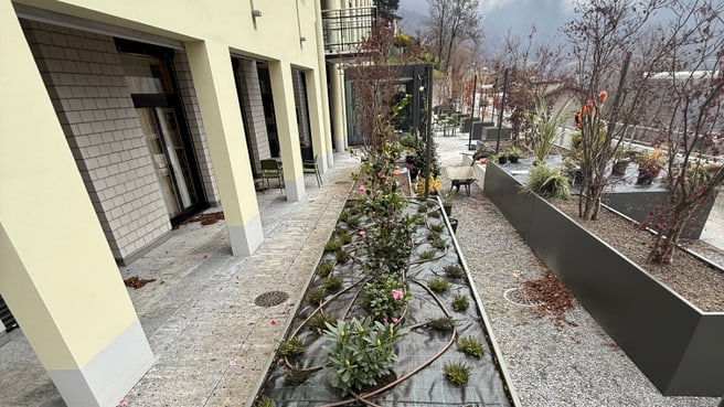 Image dolcemara sagl