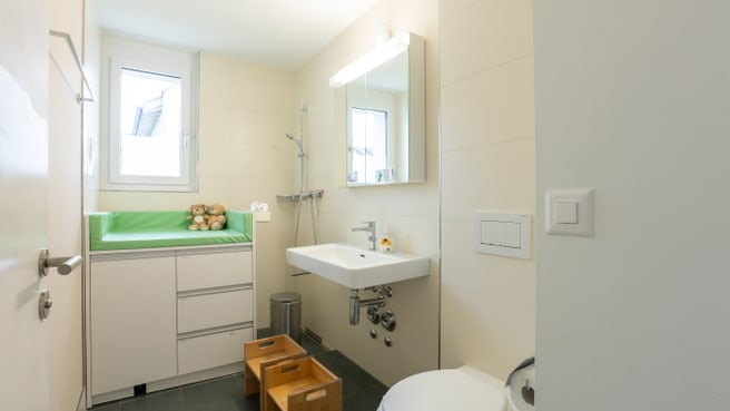 Immagine Fiorino St.Gallen Bruggen