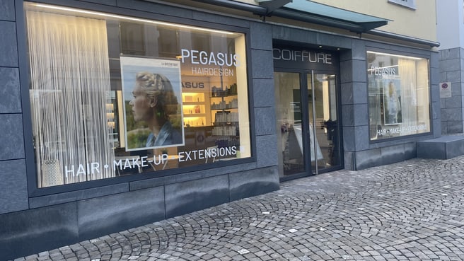 Image PEGASUS Hairdesign